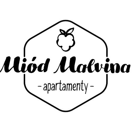 Miód Malvina Apartamenty Krynica Zdroj Bagian luar foto