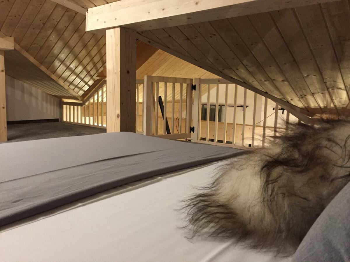 Miód Malvina Apartamenty Krynica Zdroj Bagian luar foto